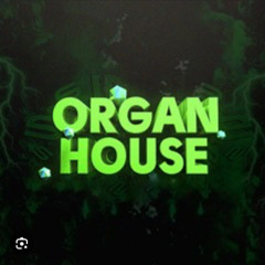 ORGAN HOUSE PT 5 ( SPRING 2025 ORGAN & BASSLINE )