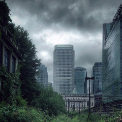 Beauty in the ruins II