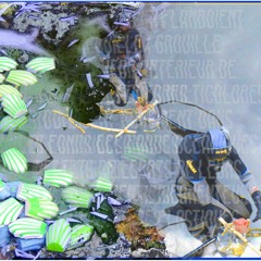 Womxn Waves - Nos Devenirs Dissidentxs Atlantxs