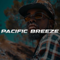 Chill West Coast Beat | Nate Dogg Type Beat 2024 | PACIFIC BREEZE