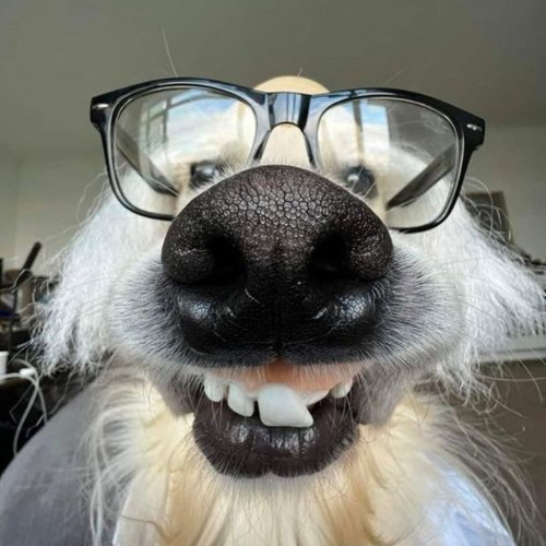 Nhạc Buồn Cho Người Mới Chia Tay - Vol 3