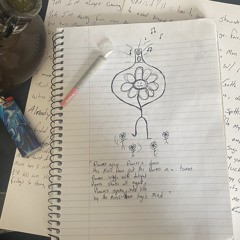 What is it Sage? (first edition)