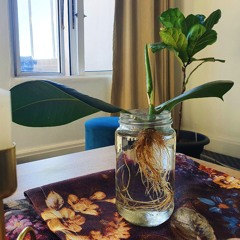 Starts and Ends - Live | Hillsong UNITED (Cover)