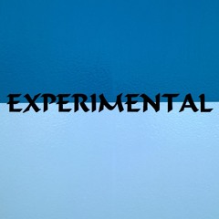 2025 Experimental