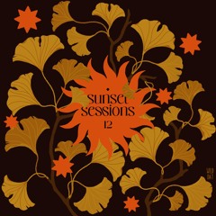 Sunset Sessions - Vol. 12 (ANNIVERSARY EDITION - 100% Sol Novaro IDs)