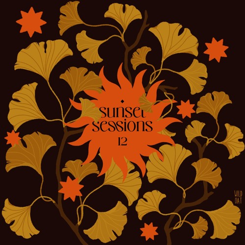 Sunset Sessions - Vol. 12 (ANNIVERSARY EDITION - 100% Sol Novaro IDs)