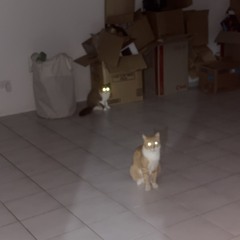 malice (prod. lowtyde)