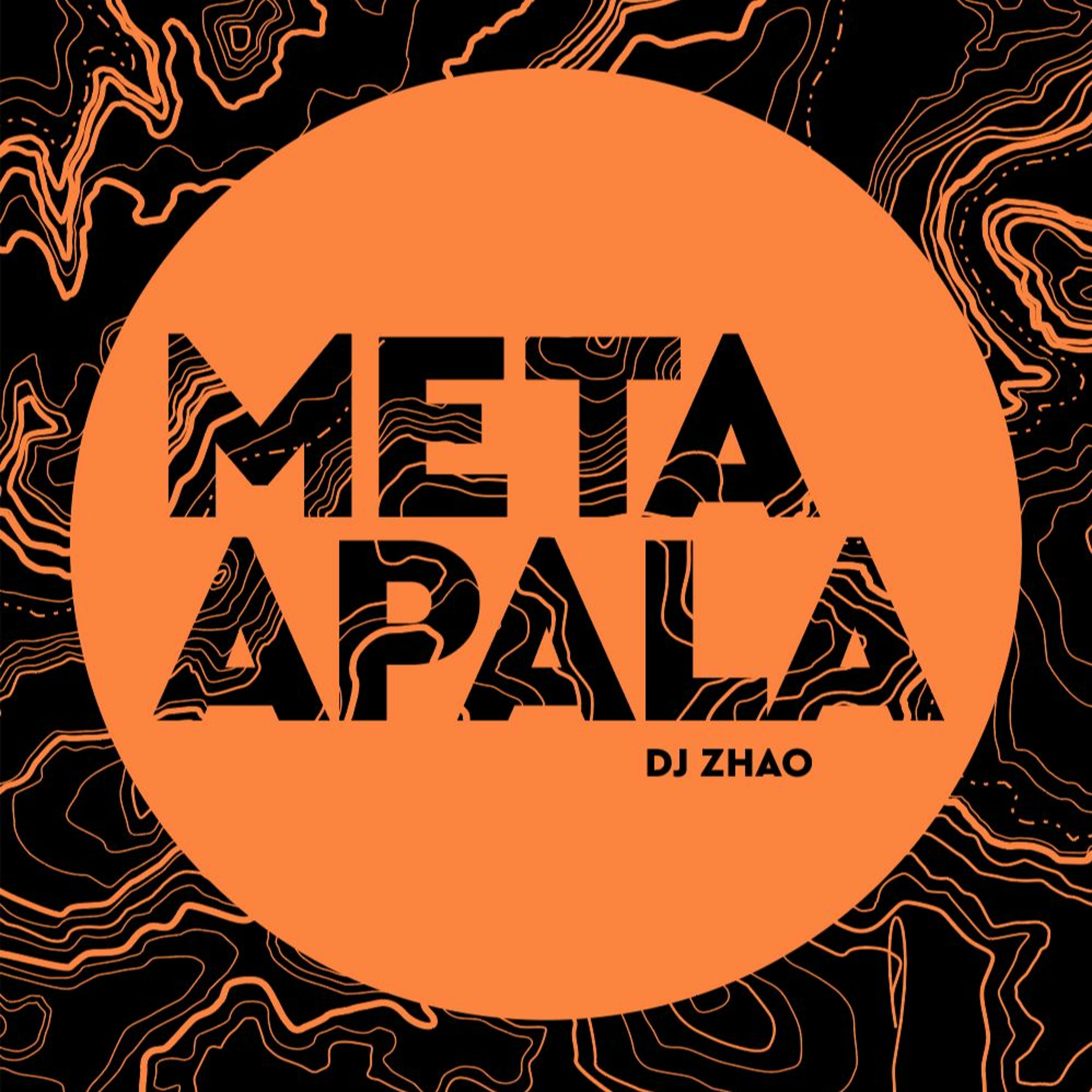Meta Apala episode artwork