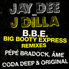Thank You Jay Dee Act One CD Mixed by J Rocc J Dilla Janet