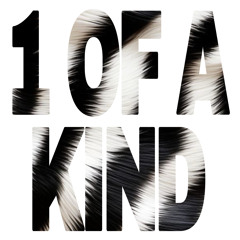 1 OF A KIND