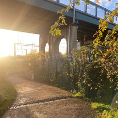 Lee Valley Walking Trail - Binaural Render