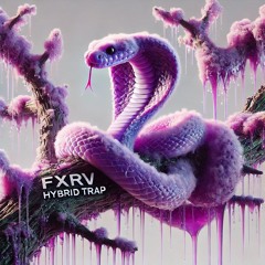 FXRV - 808 Relapse