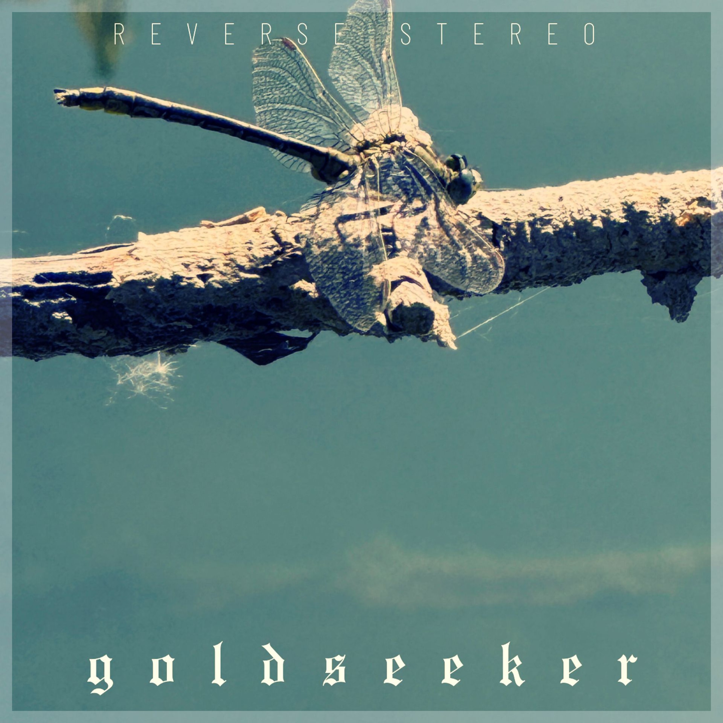 Goldseeker episode artwork