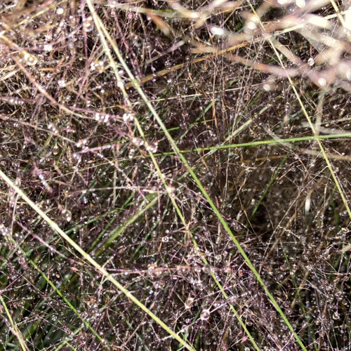 Chwefror 14