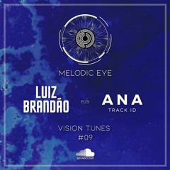 Vision Tunes #09 - Luiz Brandão B2B Ana TrackID