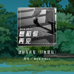 励志豪,神勇尼尼 - 想和你再见 (DJ无限版)「明天起爱你恨你全部也贵客自理 但是我心始终仍不死」【動態歌詞/pīn yīn gē cí】#励志豪 #神勇尼尼 #想和你再见 #動態歌詞