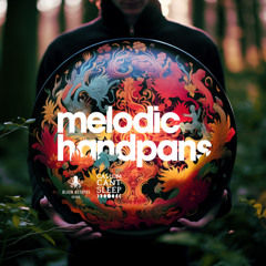 Black Octopus Sound - CallumCantSleep - Melodic Handpans