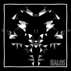 #36-HALOS