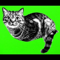 NeuroCAT