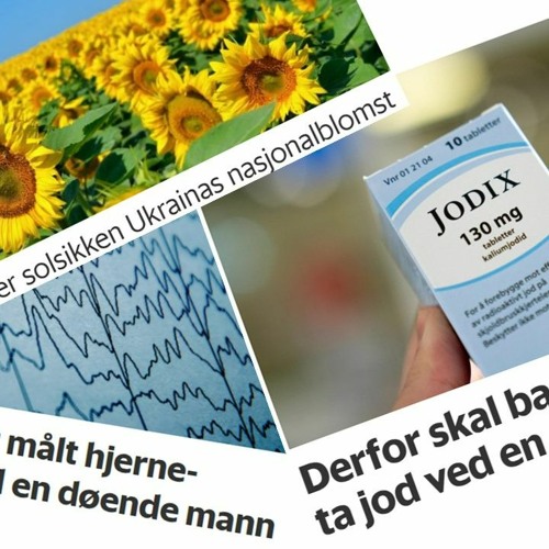 Stream Forskningspodden 28 Jod Ved Atomulykke En D ende Manns Hjerne