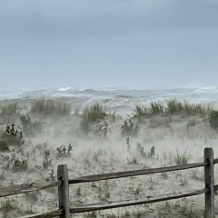 Landslide/I Will Always Love You