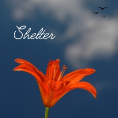 Shelter - Vocal Pack