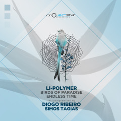 Bird of Paradise (Simos Tagias Remix)