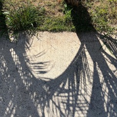 She's In Every Heartbeat