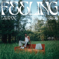 Feelings - Ladipoe Ft Buju
