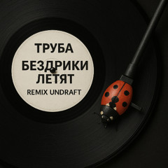 Бездрики летять (Undraft remix)