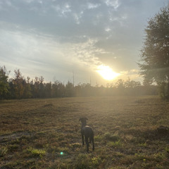 KP - Defeat [prod. hoodmotivation]