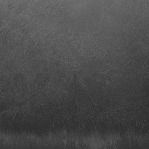 lefav: Farewell - Unreleased