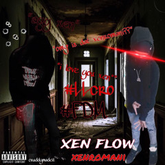 xen flow