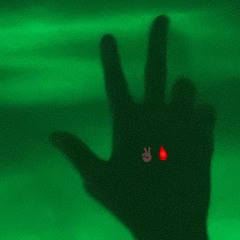 Lil quanzy - Havinn Shitt (fast)