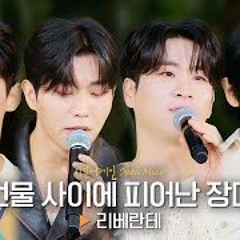 리베란테 (Libelante) '건물 사이에 피어난 장미'🌹｜비긴어게인 오픈마이크