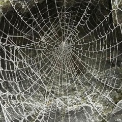 lil euphon - déjà vu (feliguap)