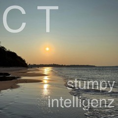 CT [Stumpy Intelligenz]