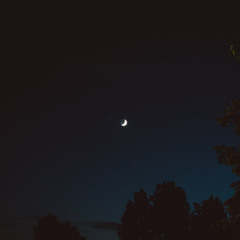 the stars (jufie)