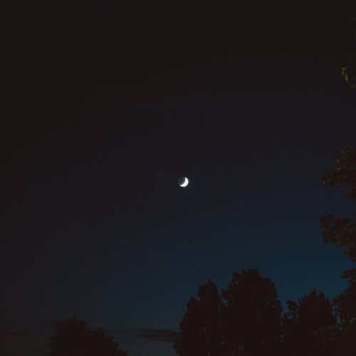 the stars (jufie)