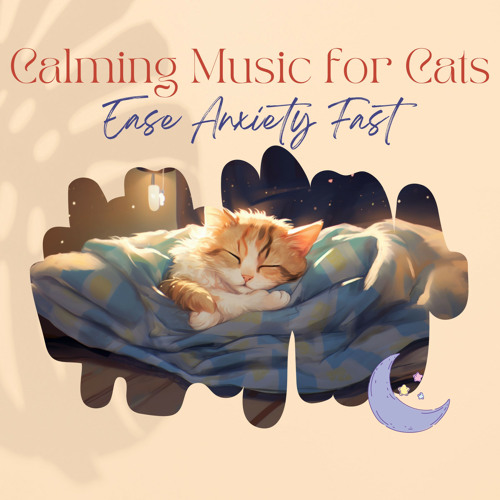 Stream Relax My Cat | Listen to Calming Music for Cats - Ease Anxiety ...