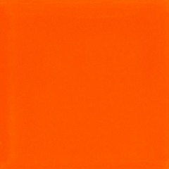 Kai x Skyte (orange!)
