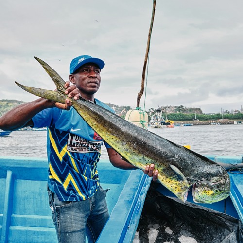 Culmina el periodo de veda del Dorado