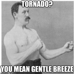 Through The Trauma And The Breeze