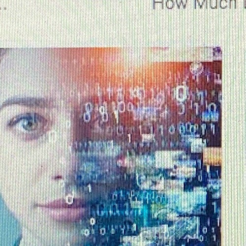 Data Analyst