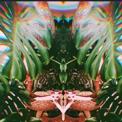 Monsteracat