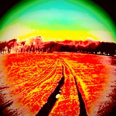 Chanctonbury Ring