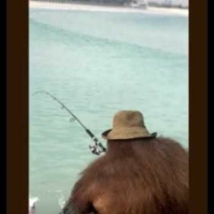 Big Grits mix #3, go bananas