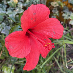 207 | TAS 91 | 112 bpm | Deep