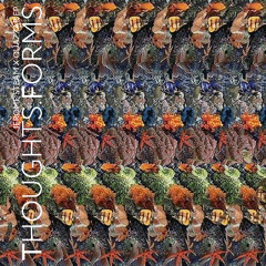 jerome steam X quazzar ep