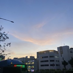 죠지 좋아해